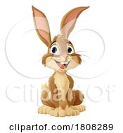 Easter Bunny Rabbit Cartoon Fun Animal Character by AtStockIllustration