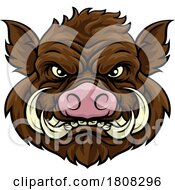 01/15/2024 - Boar Wild Hog Razorback Warthog Mascot Pig Cartoon