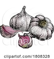 01/16/2024 - Garlic