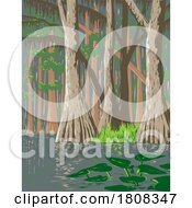 01/16/2024 - Everglades National Park In Florida USA WPA Poster Art