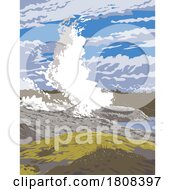 01/17/2024 - Pohutu Geyser In Whakarewarewa Thermal Reserve Rotorua New Zealand WPA Poster Art