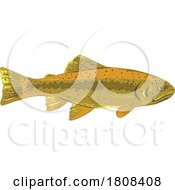 Poster, Art Print Of Gila Trout Or Oncorhynchus Gilae Side View Wpa Art