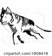 Poster, Art Print Of Siberian Husky Running Retro Style Black And White