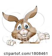 01/30/2024 - Easter Bunny Rabbit Cartoon Character Peeking Sign