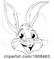 Poster, Art Print Of Easter Bunny Coloring Rabbit Outline Cartoon