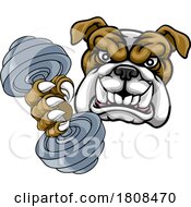 Poster, Art Print Of Bulldog Dog Weight Lifting Dumbbell Gym Mascot