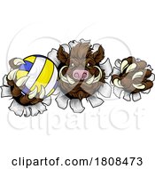 Boar Razorback Hog Volleyball Volley Ball Mascot