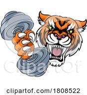 Poster, Art Print Of Tiger Weight Lifting Dumbbell Gym Animal Mascot