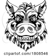 02/03/2024 - Boar Wild Hog Razorback Warthog Mascot Pig Cartoon