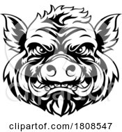 02/03/2024 - Boar Wild Hog Razorback Warthog Mascot Pig Cartoon