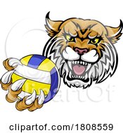 Wildcat Cougar Lynx Lion Volleyball Claw Mascot by AtStockIllustration