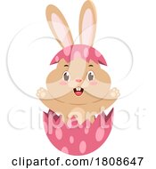 Cartoon Easter Bunny Rabbit