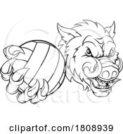 02/18/2024 - Boar Razorback Hog Volleyball Volley Ball Mascot