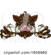 02/19/2024 - Boar Wild Hog Razorback Warthog Pig Sports Mascot