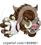 02/19/2024 - Boar Wild Hog Razorback Warthog Baseball Mascot