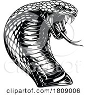 Poster, Art Print Of Black And White Cobra Snake