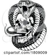Poster, Art Print Of Black And White Cobra Snake With A Human Skull