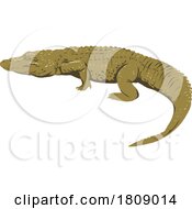 American Alligator Side View On Isolated Background Art Deco WPA Poster Art