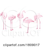 Poster, Art Print Of Flock Of Flamingos Isolated Background Wpa Art