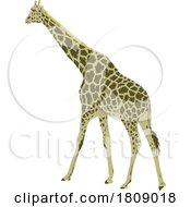 Poster, Art Print Of Giraffe Side View Art Deco Wpa Poster Art