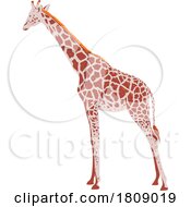 Poster, Art Print Of Giraffe Or Giraffa Camelopardalis Side View Wpa Art