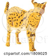 02/20/2024 - Serval Or Leptailurus Serval Side View Isolated Background Art Deco WPA Poster Art
