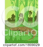 02/22/2024 - Alligator In Jean Lafitte National Historical Park And Preserve Louisiana USA Art Deco WPA Poster Art