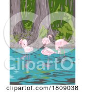 Poster, Art Print Of Flamingo In Everglades National Park In Florida Usa Wpa Art Poster