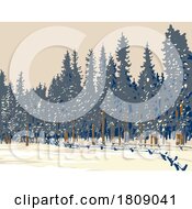 Poster, Art Print Of Winter Forest Of Subalpine Fir And Limber Pine In Echo Lake Colorado Wpa Poster Art