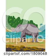 Indian Elephant In Mahanadi Elephant Reserve In Odisha India Art Deco WPA Poster Art