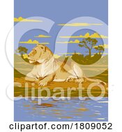 02/22/2024 - Lioness In Hwange National Park Zimbabwe Africa Art Deco WPA Poster Art