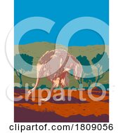 Common Ostrich Or Somali Ostrich In The Sahel Region Of Africa Art Deco WPA Poster Art