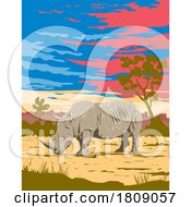Poster, Art Print Of White Rhinoceros In Kruger National Park South Africa Art Deco Wpa Poster Art