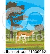 02/22/2024 - Springbok In Kgalagadi Transfrontier Park South Africa Art Deco WPA Poster Art