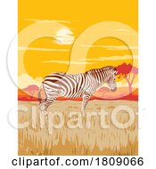 Poster, Art Print Of Plains Zebra In Serengeti National Park Northern Tanzania Africa Art Deco Wpa Poster Art