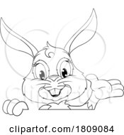 02/14/2024 - Easter Bunny Rabbit Cartoon Character Peeking Sign