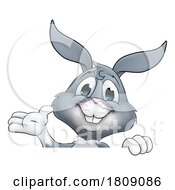 02/15/2024 - Easter Bunny Rabbit Cartoon Character Peeking Sign