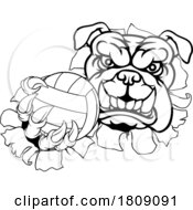 Bulldog Dog Volleyball Volley Ball Animal Mascot by AtStockIllustration