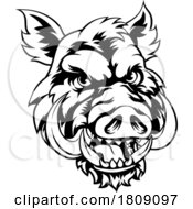 02/23/2024 - Boar Wild Hog Razorback Warthog Mascot Pig Cartoon