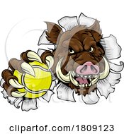 Poster, Art Print Of Boar Wild Hog Razorback Warthog Pig Tennis Mascot