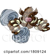 Poster, Art Print Of Boar Wild Razorback Warthog Weight Lifting Mascot