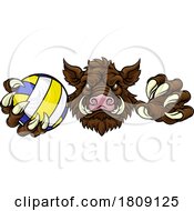 Boar Razorback Hog Volleyball Volley Ball Mascot