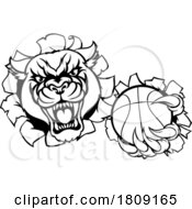 02/25/2024 - Panther Cougar Jaguar Cat Basketball Ball Mascot