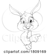 02/25/2024 - Easter Bunny Rabbit Cartoon Character Peeking Sign