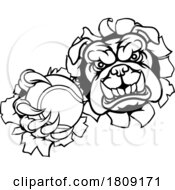 02/25/2024 - Bulldog Dog Animal Tennis Ball Sports Mascot
