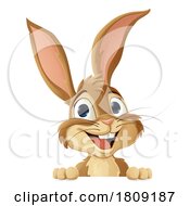 Poster, Art Print Of Easter Bunny Rabbit Peeking Around Sign Cartoon