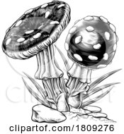 Mushrooms Toadstools Vintage Engraved Woodcut by AtStockIllustration