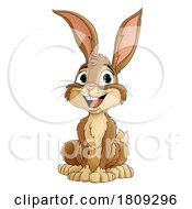 Easter Bunny Rabbit Cartoon Fun Animal Character