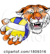 Tiger Volleyball Volley Ball Animal Sports Mascot by AtStockIllustration