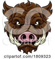 03/03/2024 - Boar Wild Hog Razorback Warthog Mascot Pig Cartoon